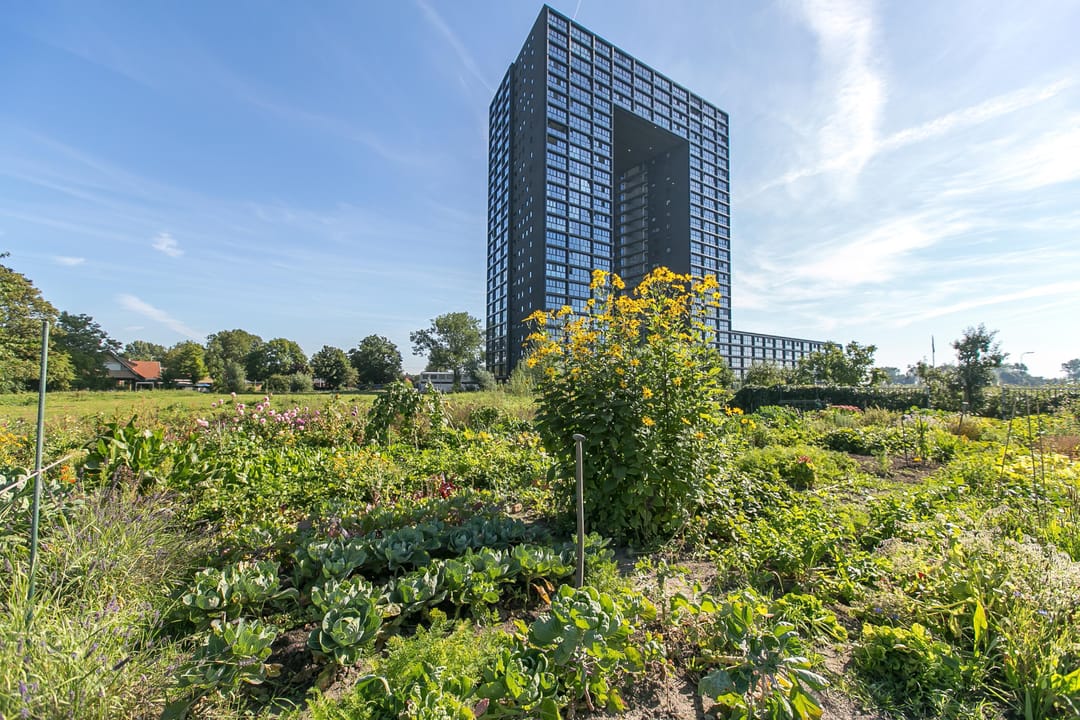 Regattaweg in Groningen