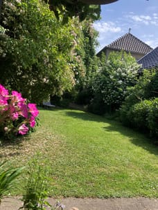 Afbeelding van Rivierstraat 1-A - Derde foto