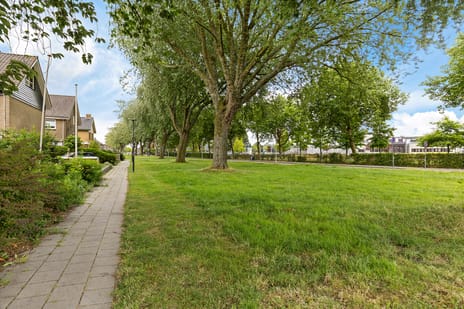 Zuiderdwarsvaart 98 tertiary image