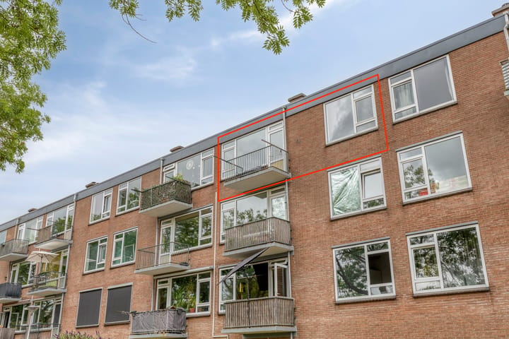 Paulus Potterstraat 143 main image