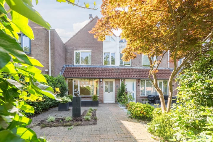 Roerdomp 5 main image