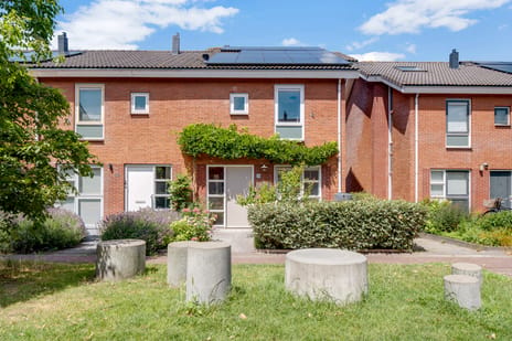 undefined main image