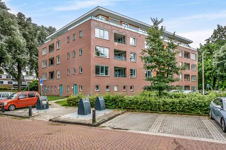 undefined main image