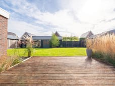 Afbeelding van Paardenbloem 8 - Derde foto