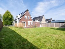 Afbeelding van Paardenbloem 8 - Tweede foto