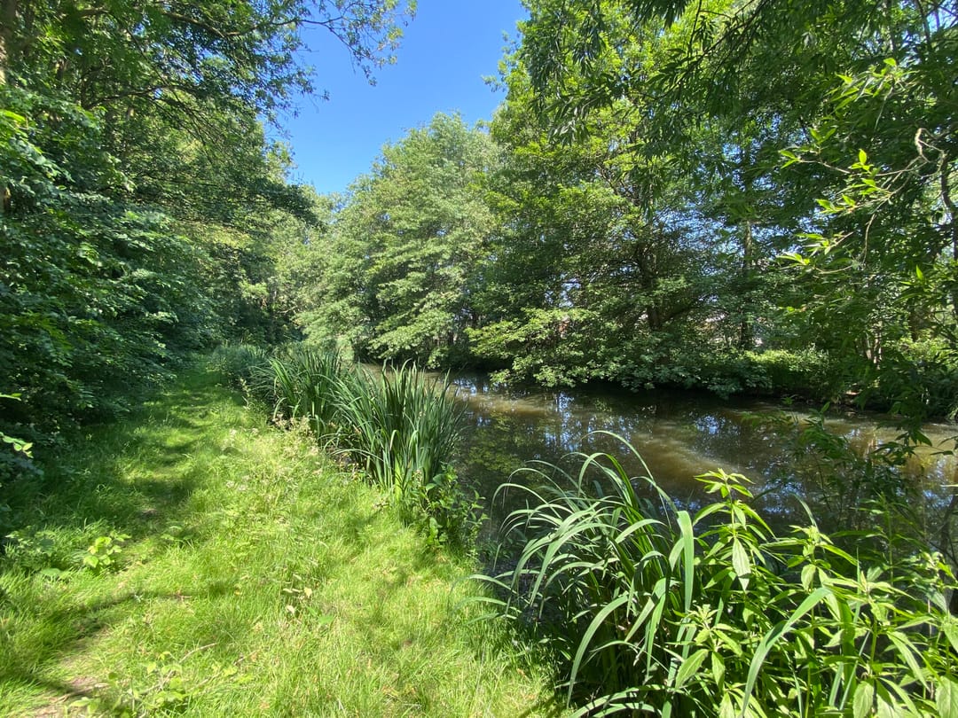 Foto 3 van Dordts Buiten | Op de Eilanden Fase 3