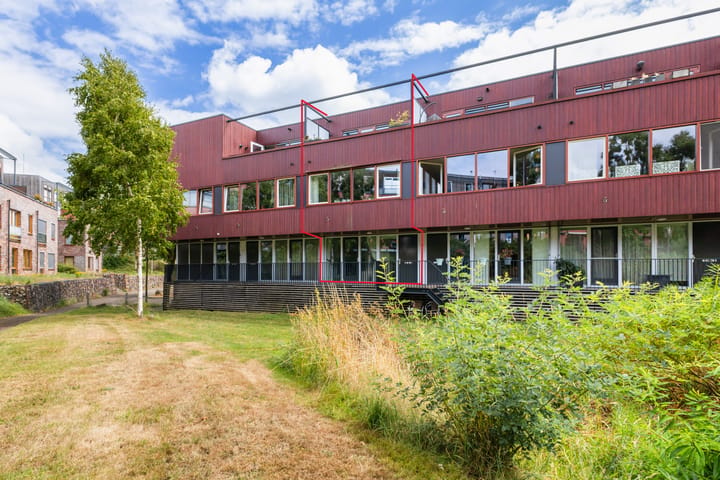 Baars 61 main image