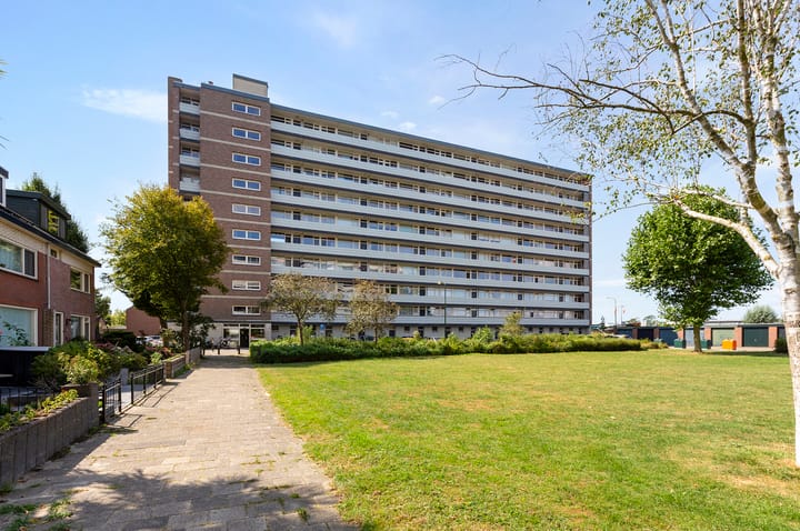 Titus Brandsmastraat 87 main image