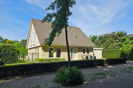 undefined main image