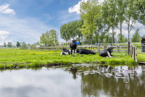 Afbeelding van Leeghwaterweg 20-A - Tweede foto