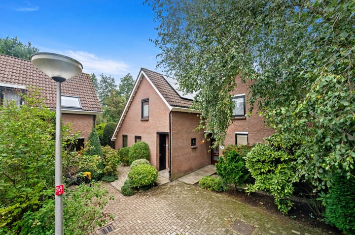 Haagwinde 31 main image