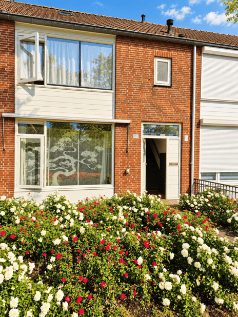 Afbeelding van Bellinistraat 191 - Tweede foto
