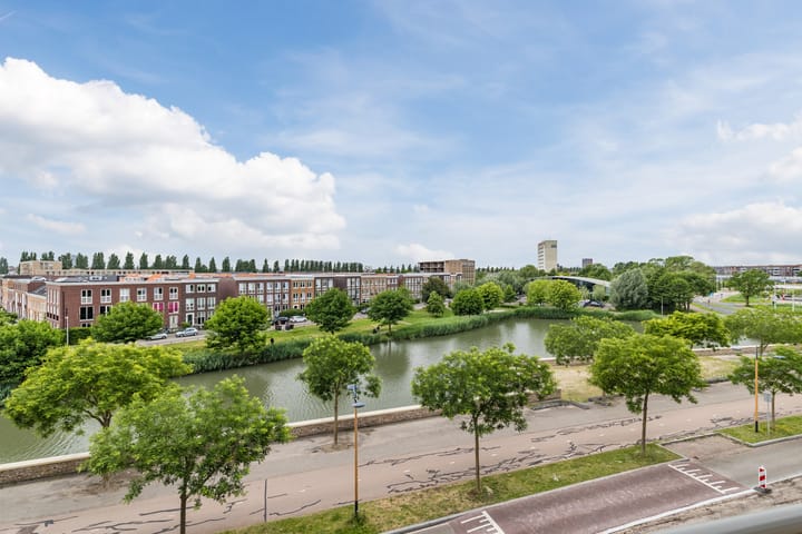 Grauwaartsingel 492 main image