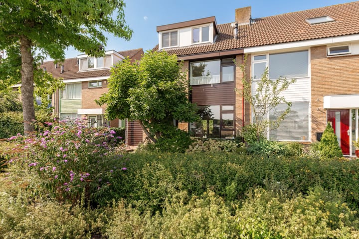 Wilgeboom 51 main image