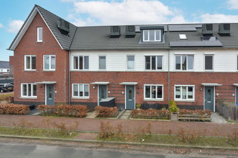 undefined main image