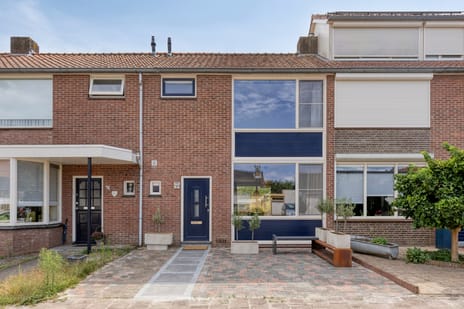 undefined main image