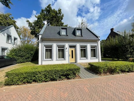 undefined main image