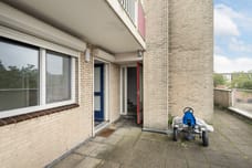 Afbeelding van Aar 7 - Tweede foto