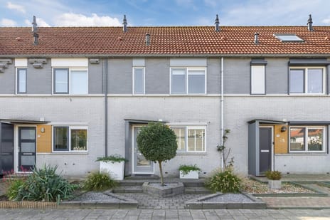 Visarend 17 main image