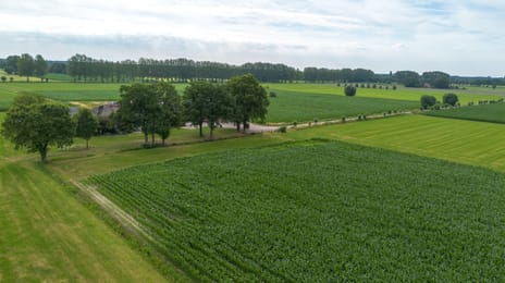 Twistdijk 4 secondary image