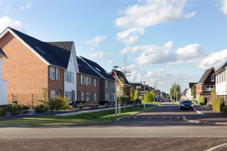 Ridderzwam 41