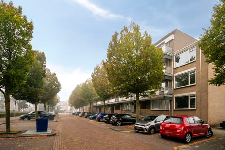 Palmboomstraat 72
