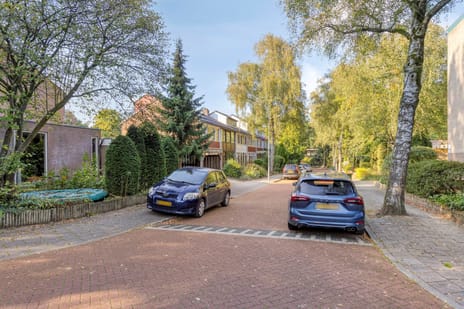 Afbeelding van Zweerslaan 1 - Derde foto