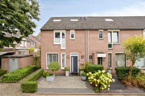 Papaverweerd 7 main image