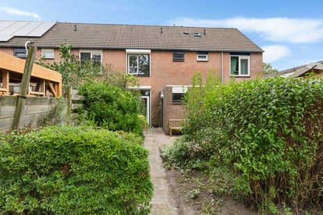 Afbeelding van Hofstukken 22 - Derde foto