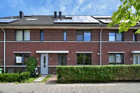 undefined main image