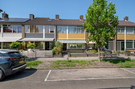 undefined main image