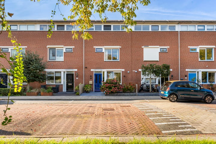Herman Gorterhove 27 main image