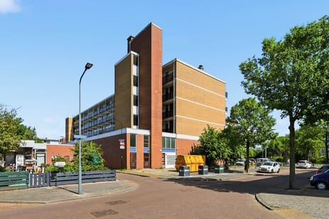 undefined main image