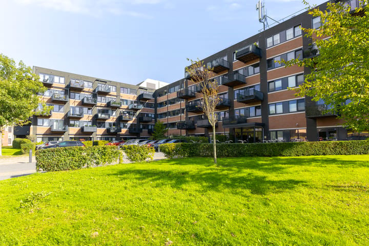 Zandsteen 89 main image