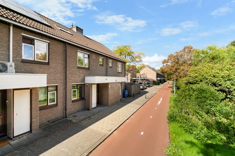 Lutulisingel 45 main image