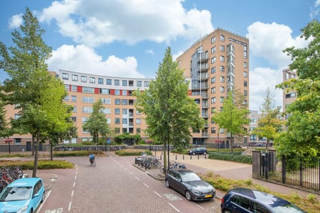 Henriëtte Roland Holststraat 66