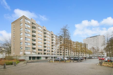 Rondeel 100 main image