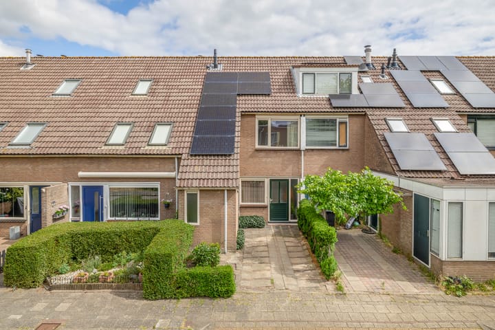 Bunuelstrook 19 main image