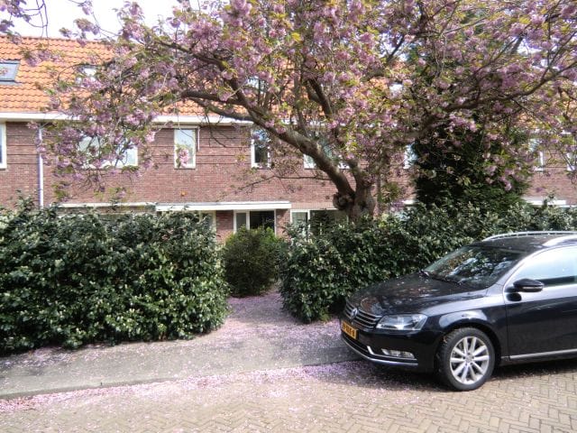 House Exterior