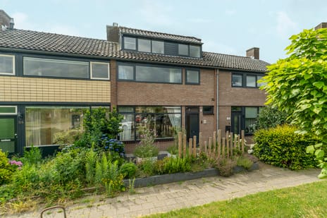 undefined main image