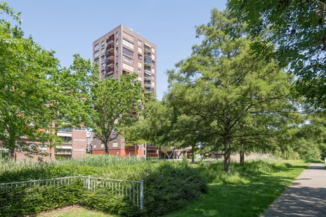 Vondellaan 53 secondary image