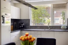Afbeelding van Ganseboom 28 - Derde foto