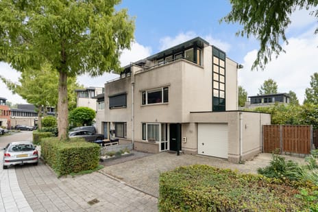 Iroko 184 main image
