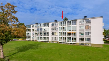 Eburonenstraat 41 main image