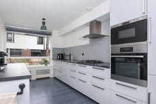 Afbeelding van Waterschorpioen 17 - Derde foto