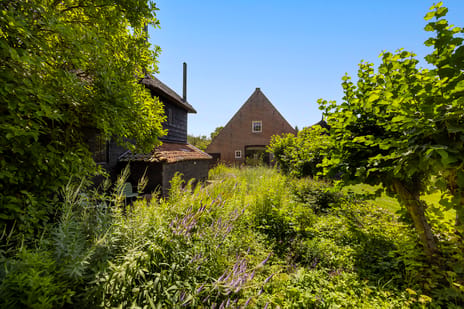 Burgemeester van den Boschstraat 55 tertiary image