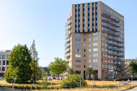 undefined main image