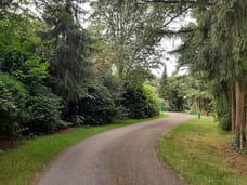 Afbeelding van Fazant - Tweede foto