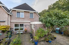 Afbeelding van De Olijflijster 3 - Derde foto