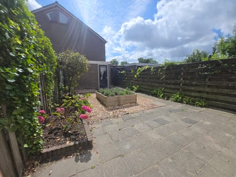 Wijzend 36 secondary image